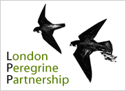 London Peregrine Partnership